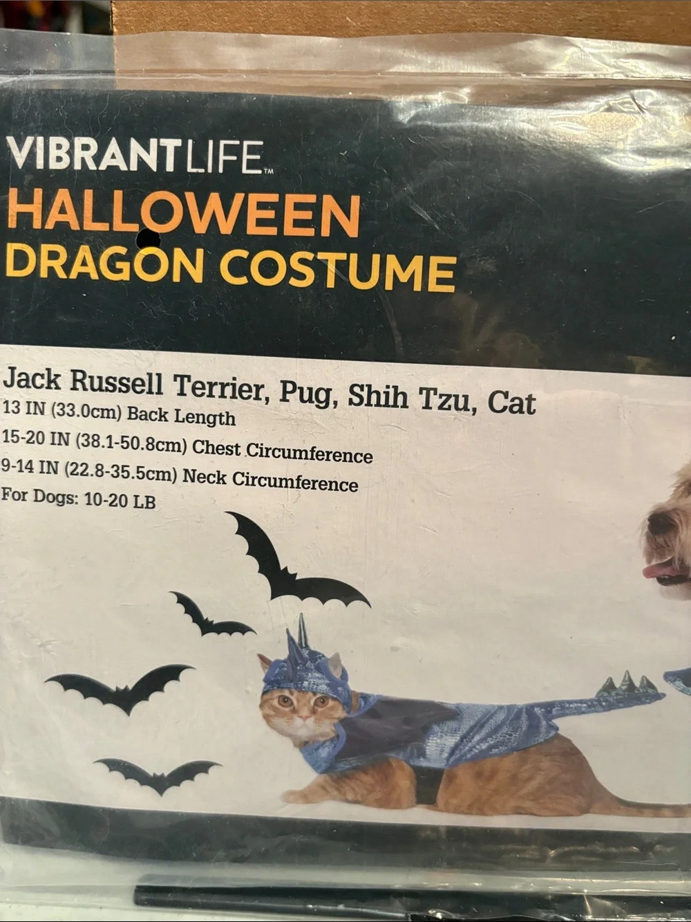 Vibrant Shimmering Blue Dragon Pet Costume